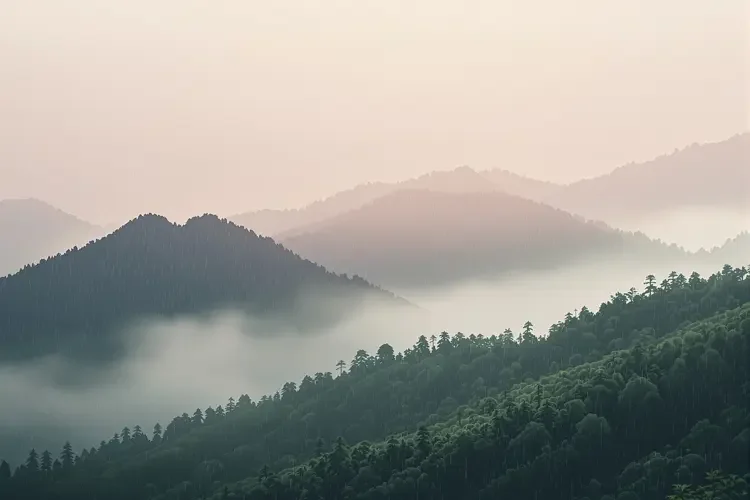雨润山青 - 好看电影专题合集